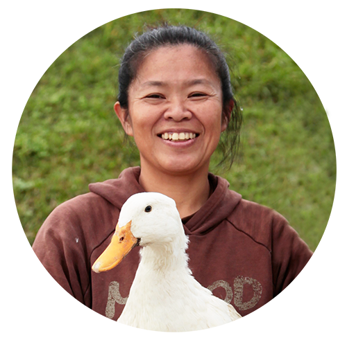 美味しいおお米の直販