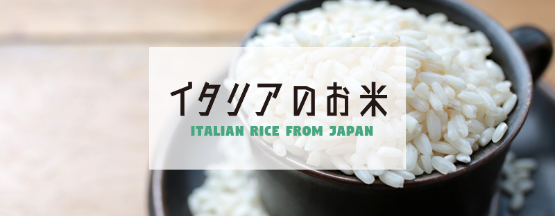 国産のイタリア米販売