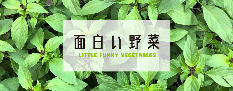 珍しい野菜の販売