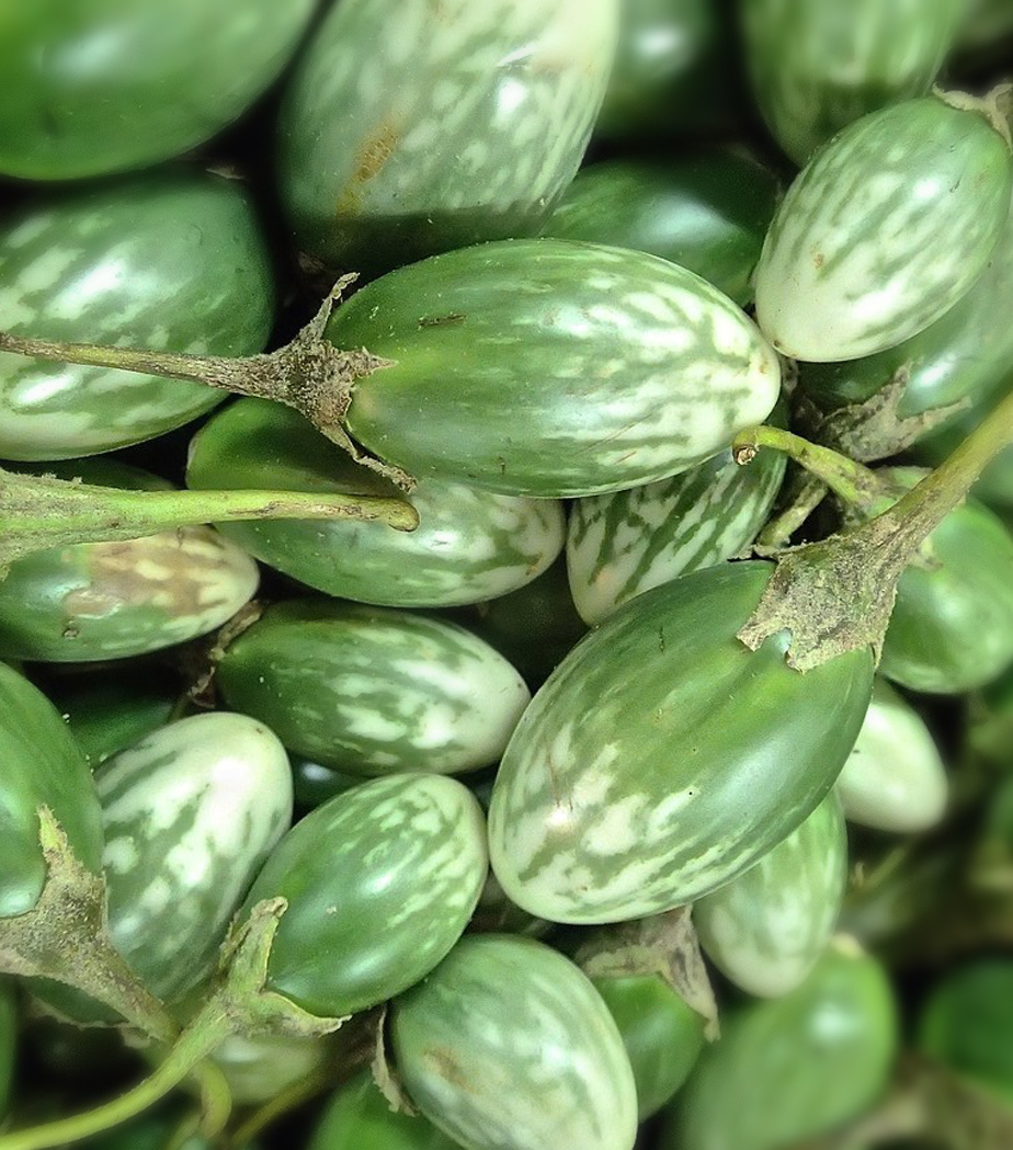 アジアやイタリアの野菜