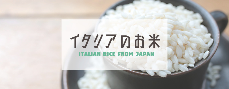 国産のイタリア米販売